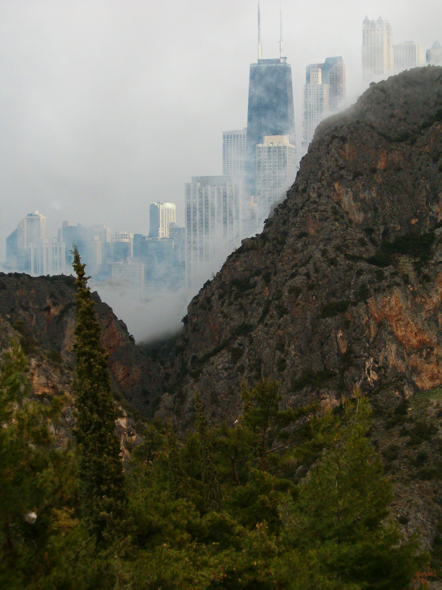 ENVIRONMENTAL HUMANITIES JOURNAL visual data 5