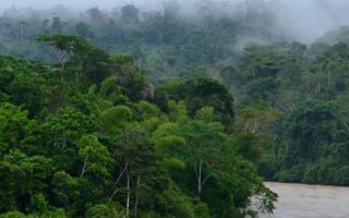 an image of a river with a boat in it surrounded by trees