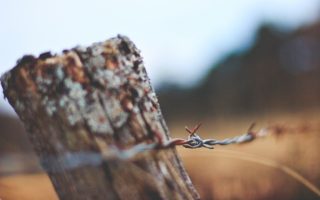 an image of a close up of a barbed wire fence