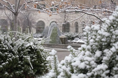 JFSB courtyard in the winter
