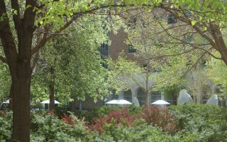 Joseph F. Smith Building courtyard with trees
